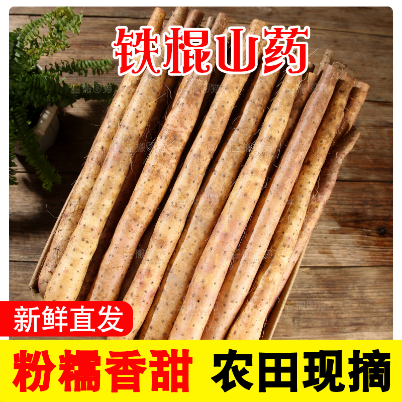 铁棍山药