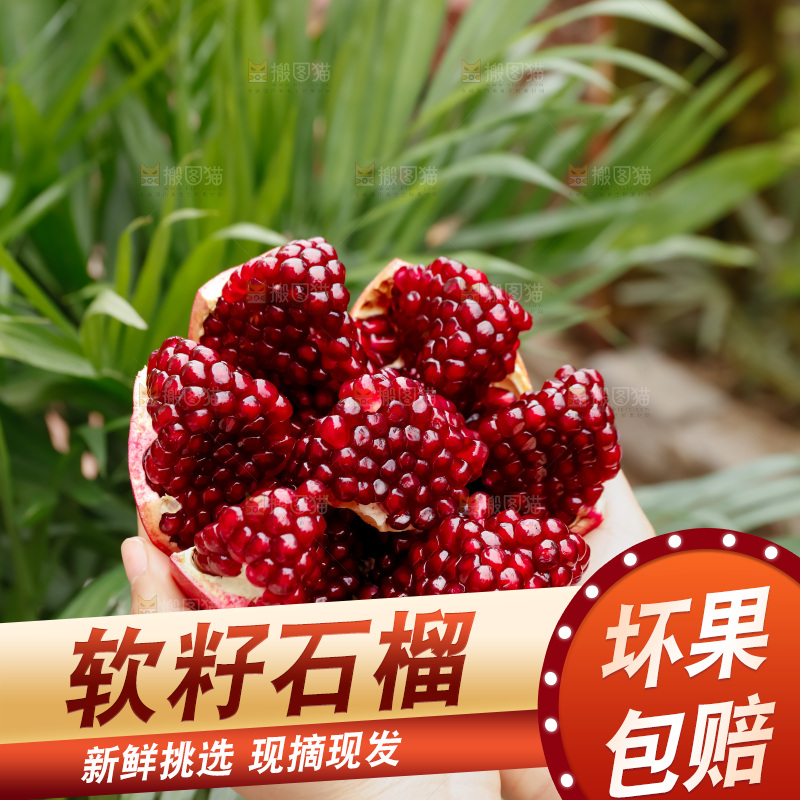 软籽石榴