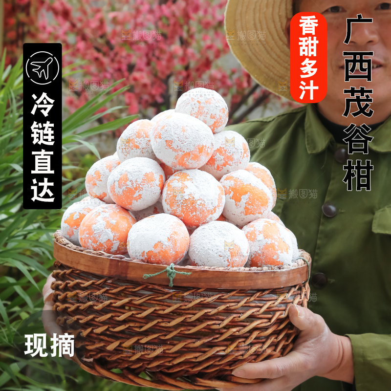 茂谷柑