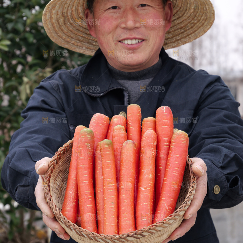 红胡萝卜