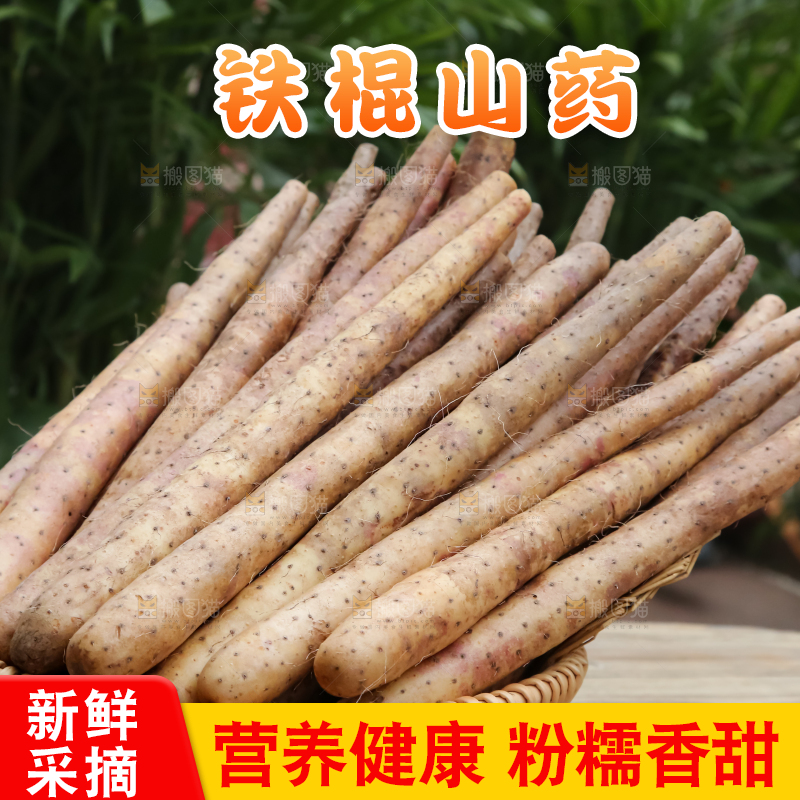 铁棍山药