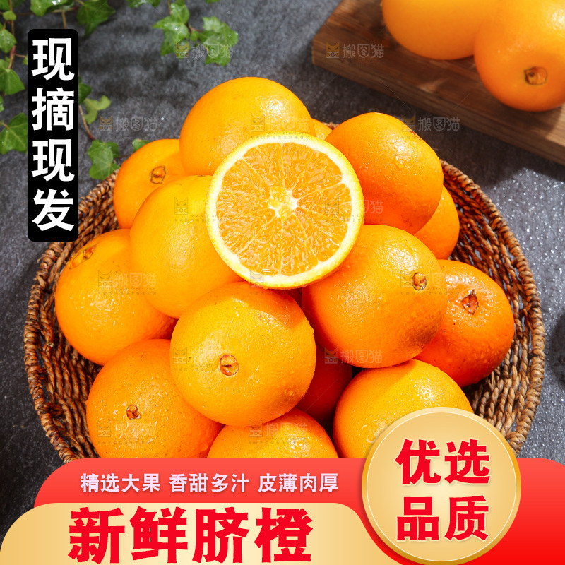 脐橙