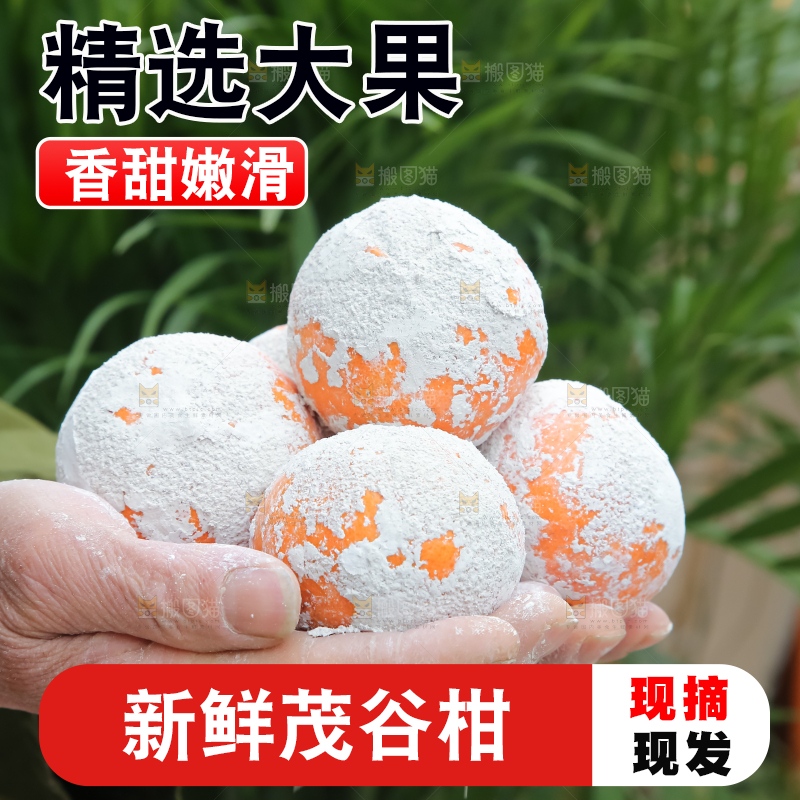 茂谷柑