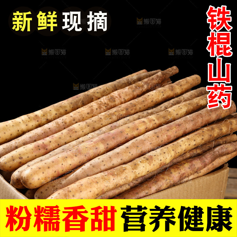 铁棍山药
