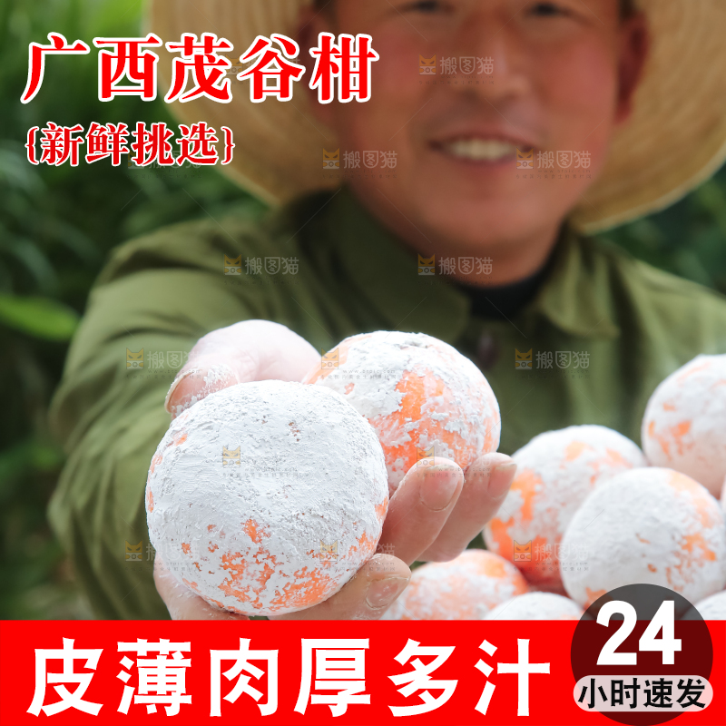 茂谷柑