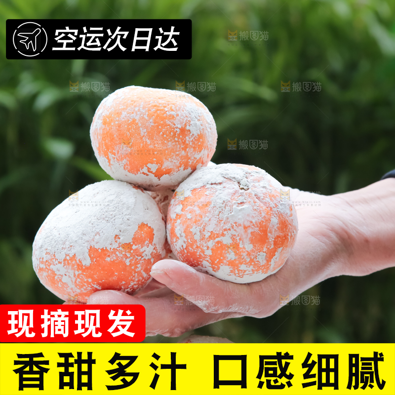 茂谷柑