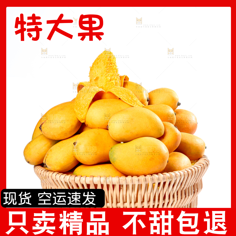小台芒