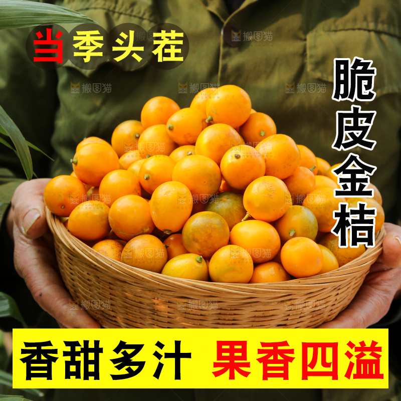 脆皮金桔