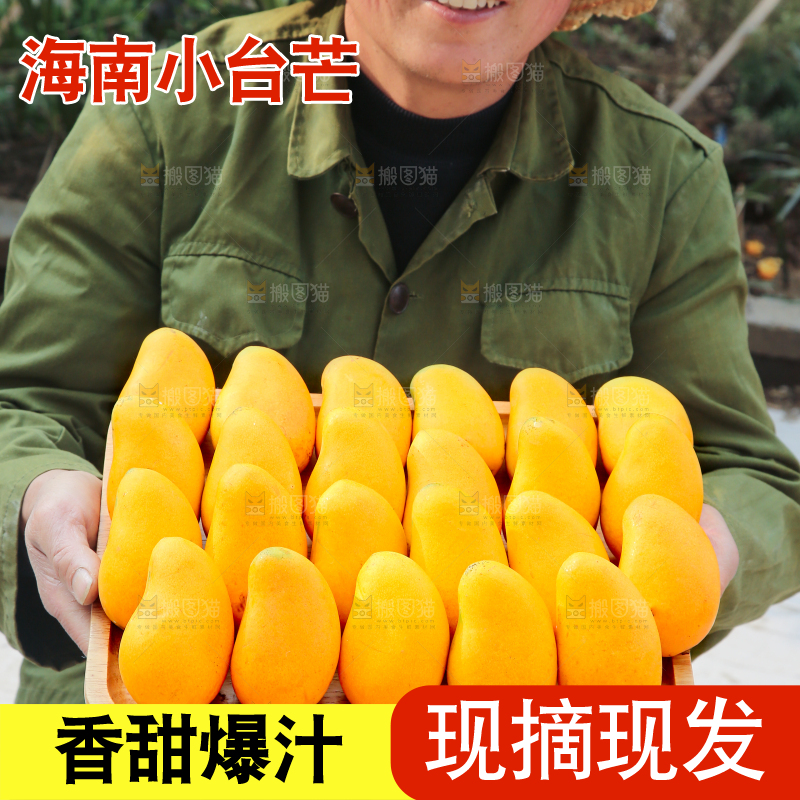 小台芒
