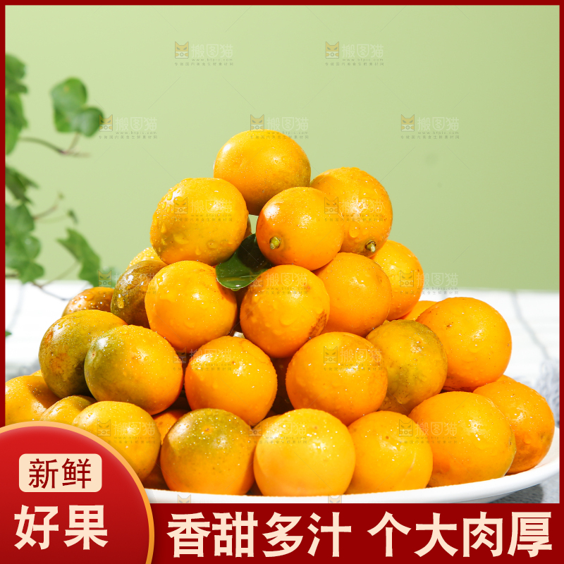 脆皮金桔