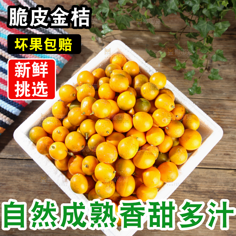 脆皮金桔