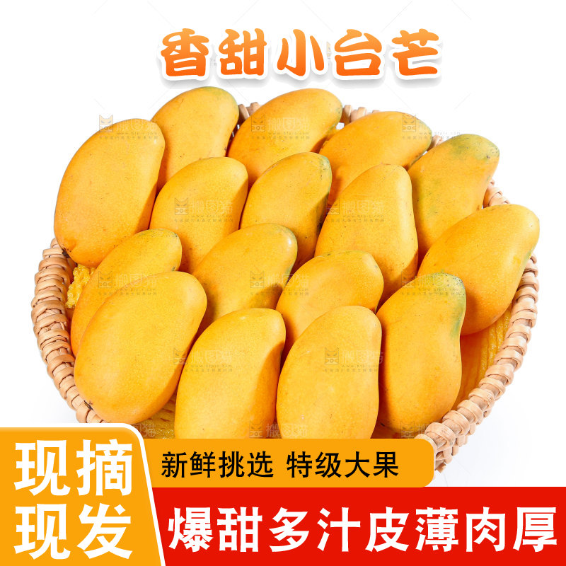 小台芒