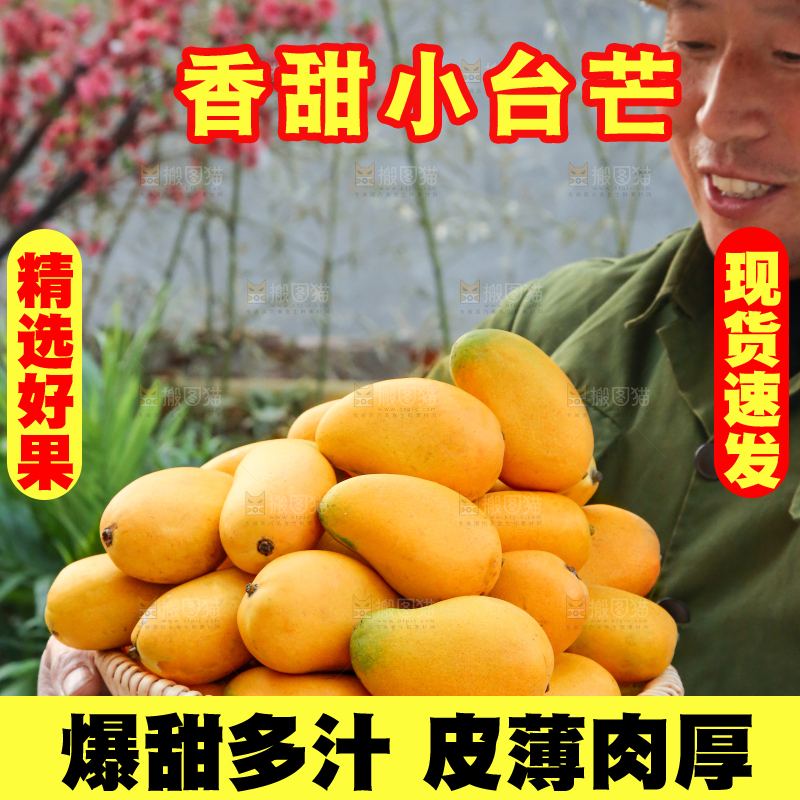 小台芒