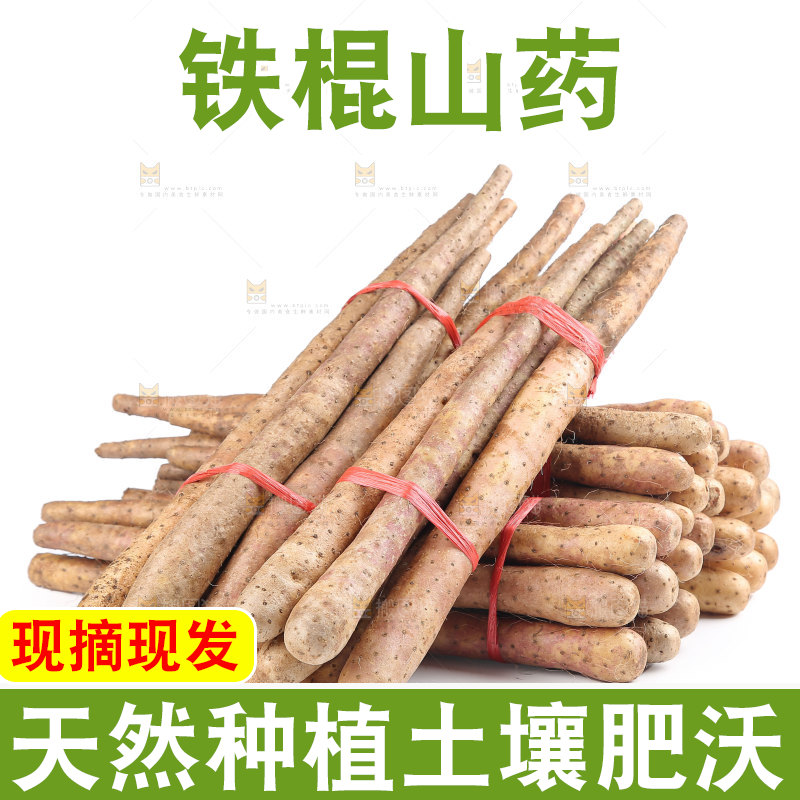 铁棍山药