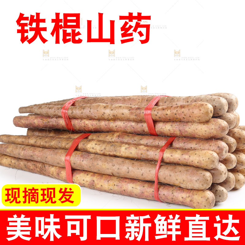 铁棍山药