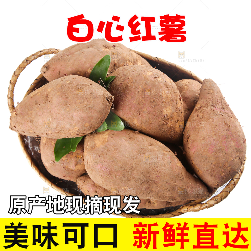 白心红薯