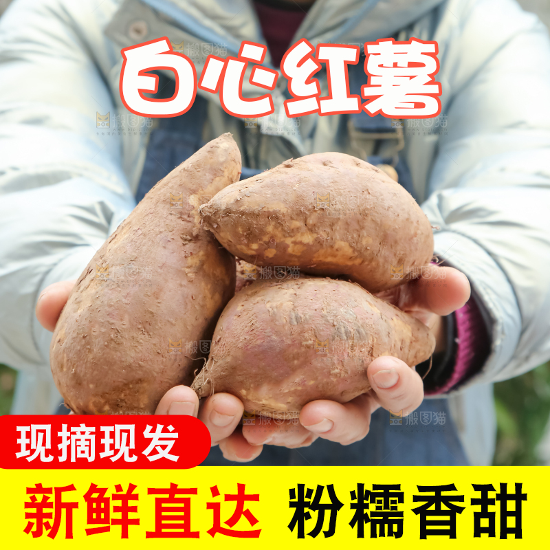 白心红薯