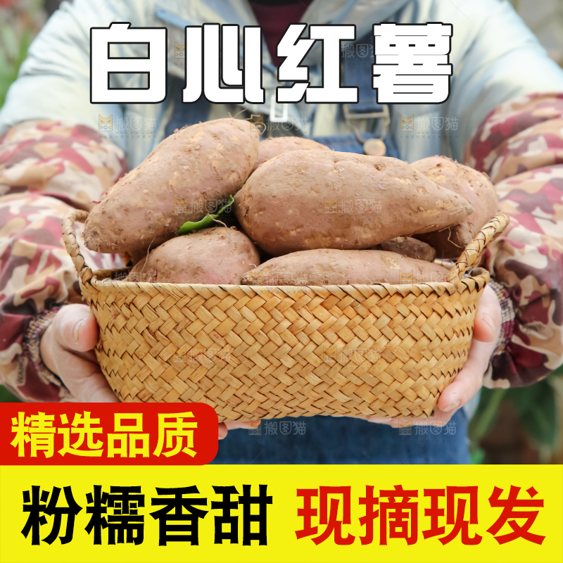 白心红薯