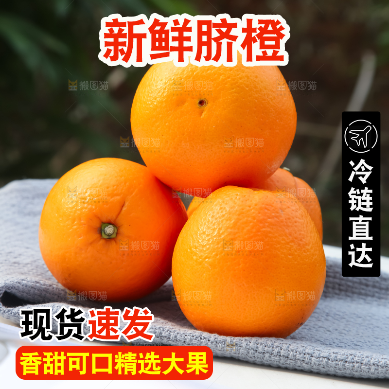 脐橙