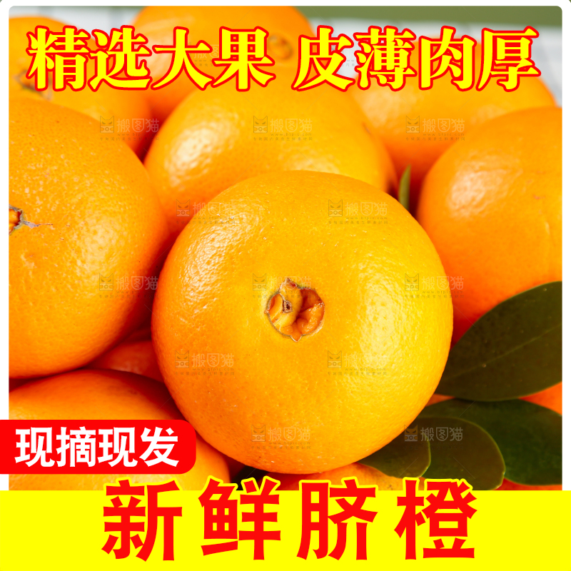 脐橙