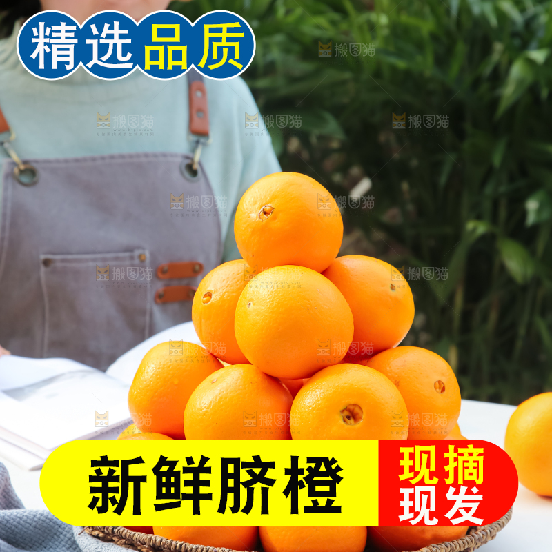 脐橙