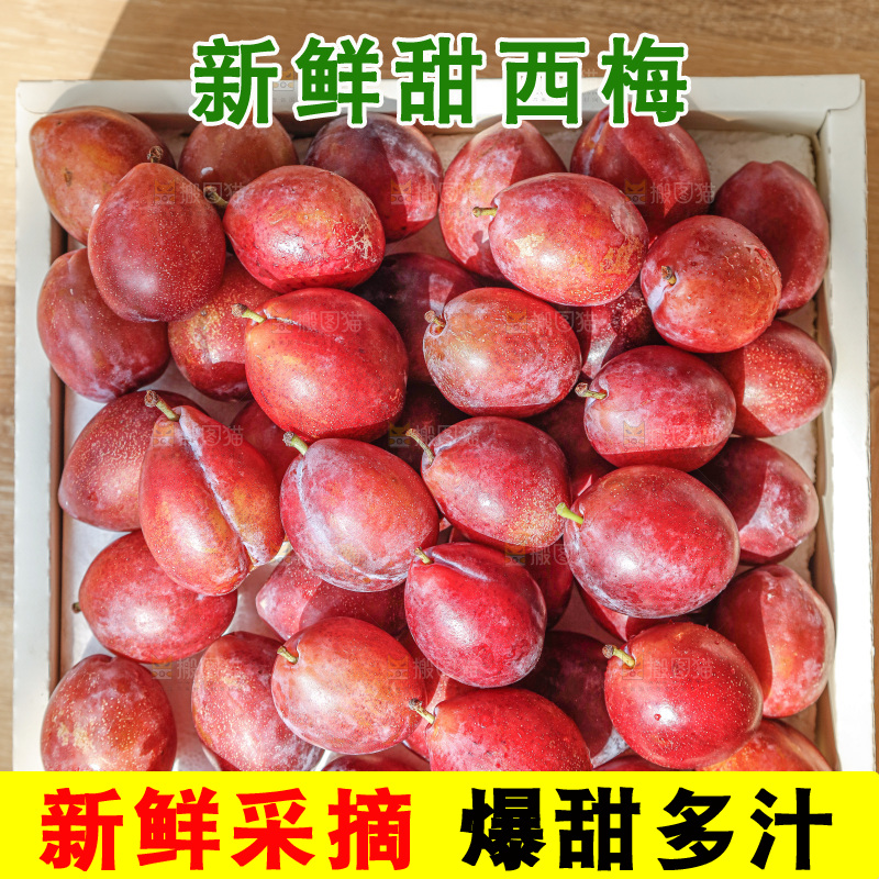 西梅