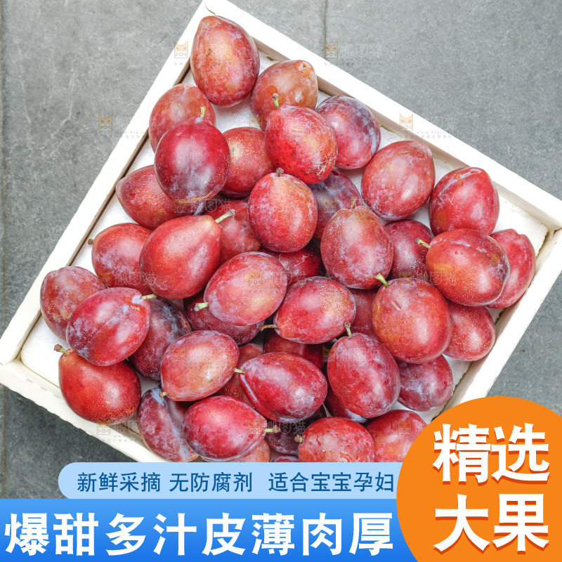 西梅