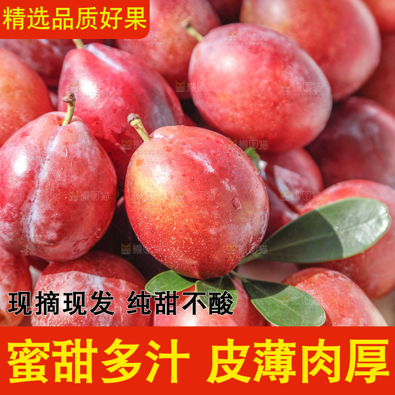 西梅