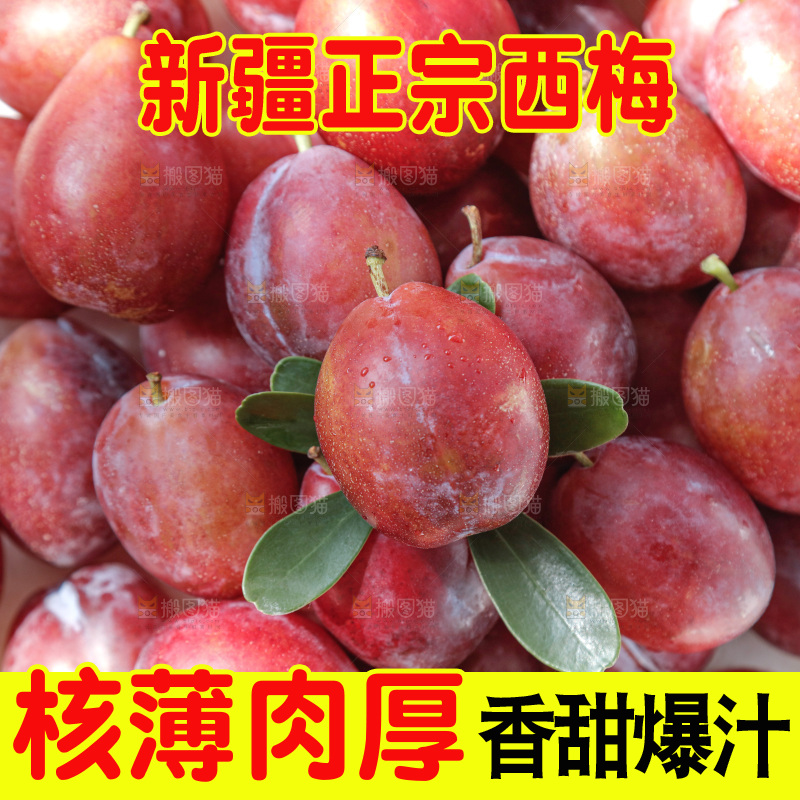 西梅