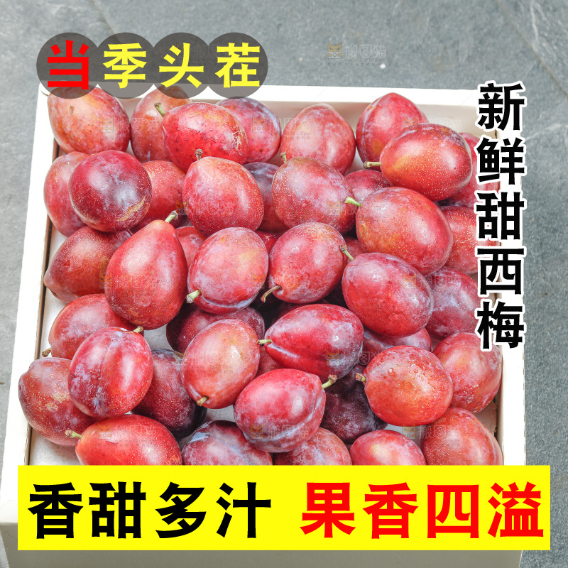 西梅