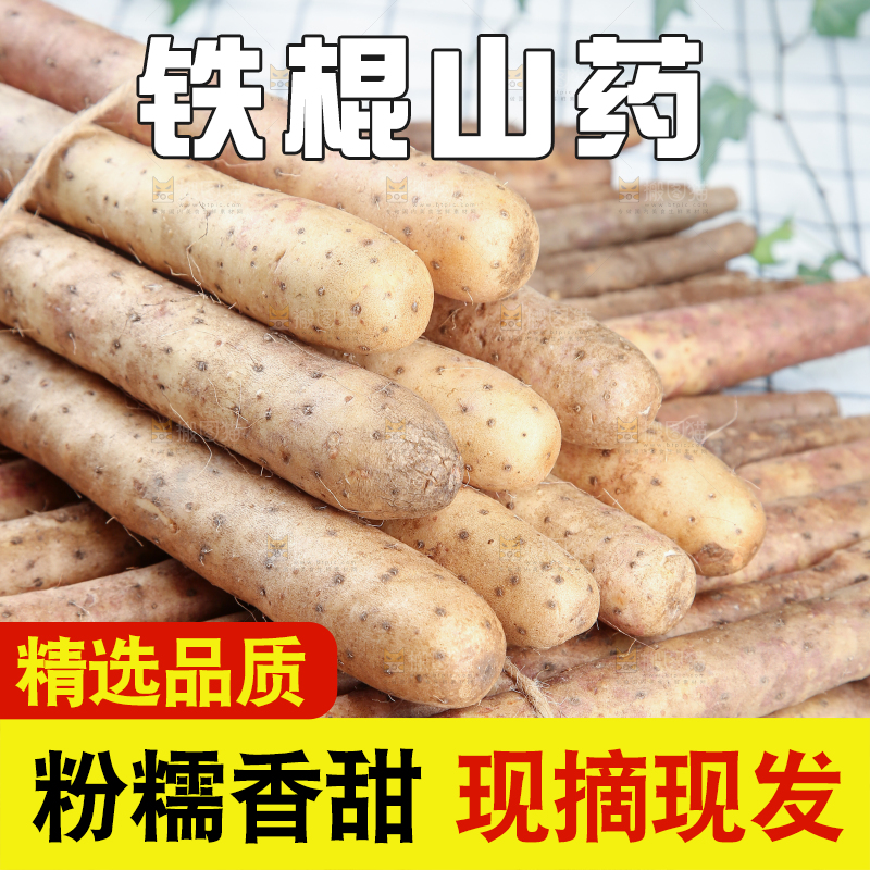 铁棍山药