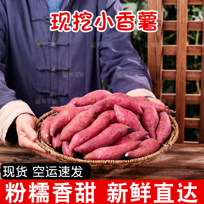 小香薯