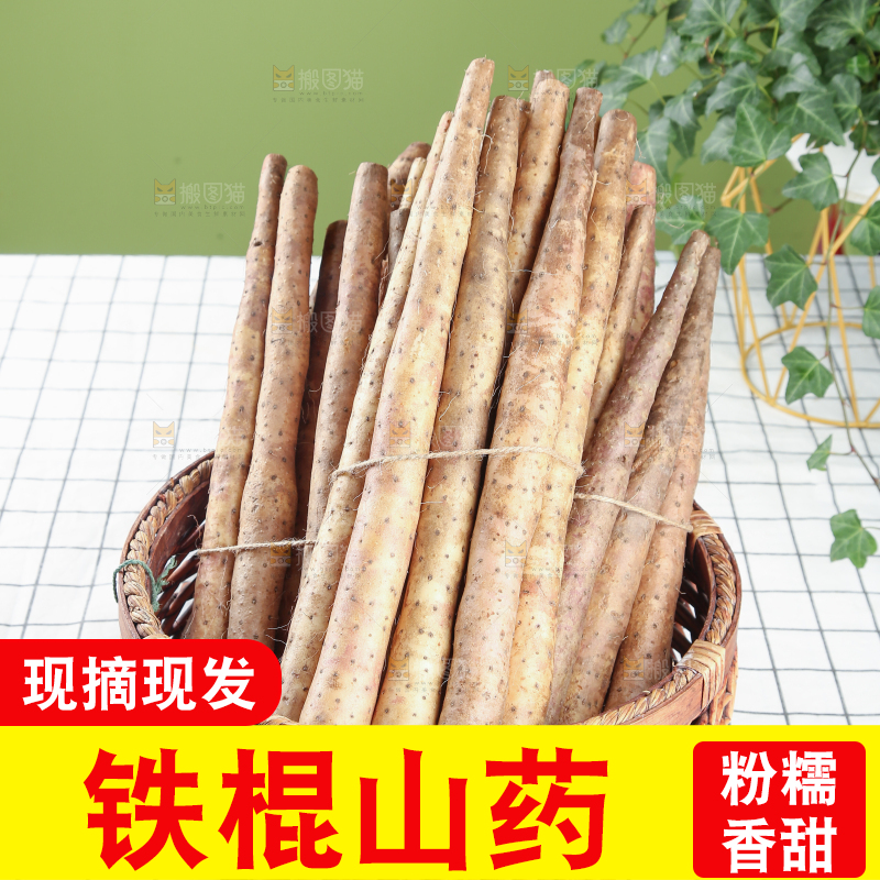 铁棍山药