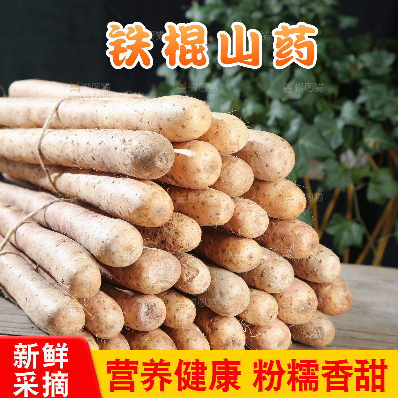 铁棍山药