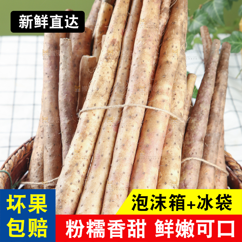铁棍山药