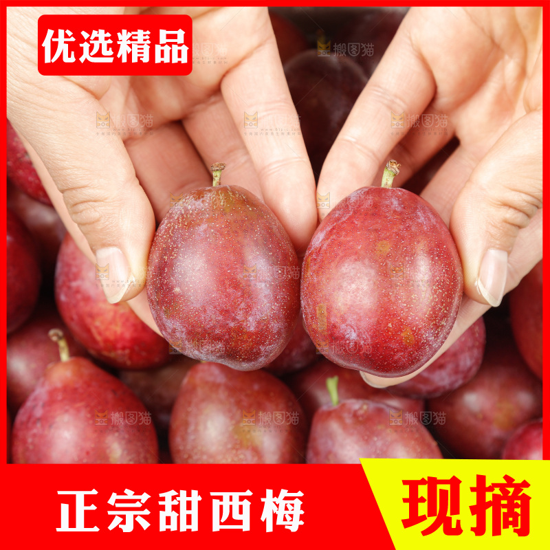 西梅