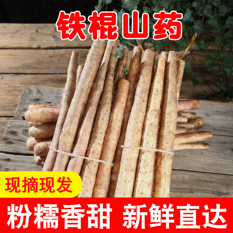 铁棍山药