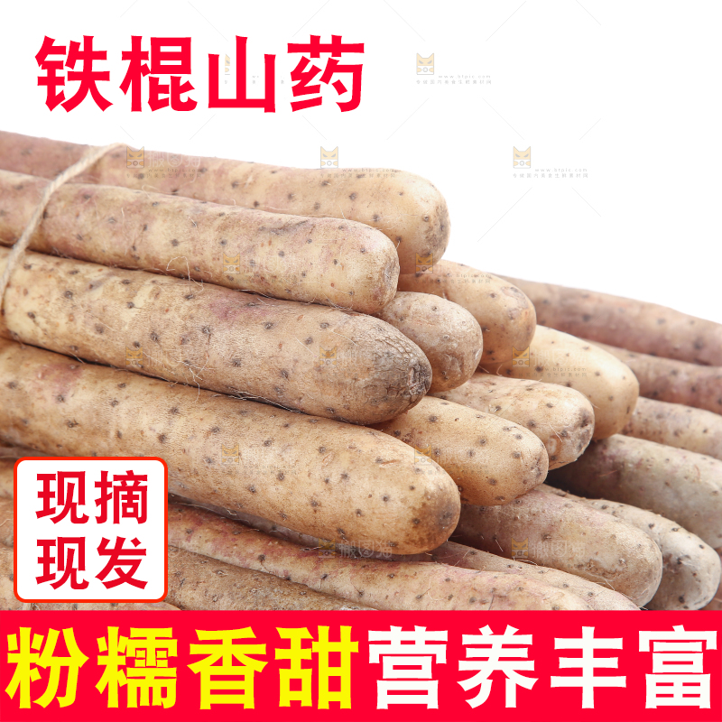 铁棍山药