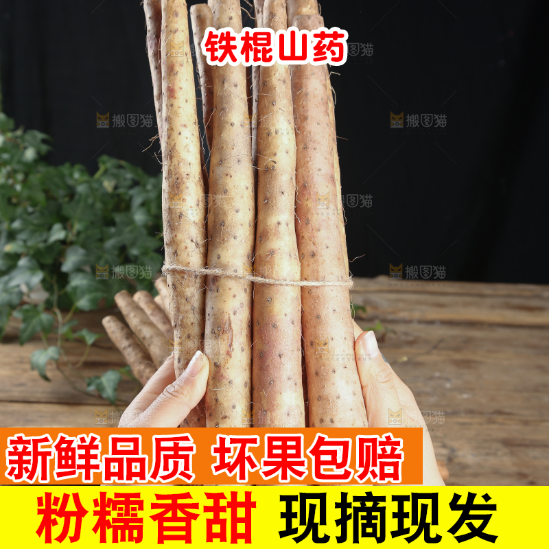 铁棍山药