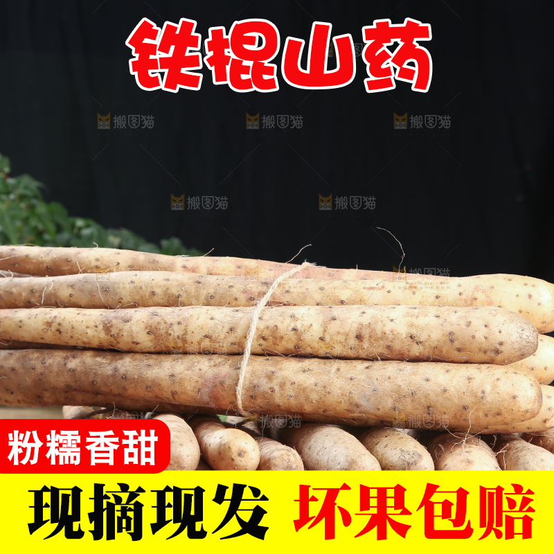 铁棍山药