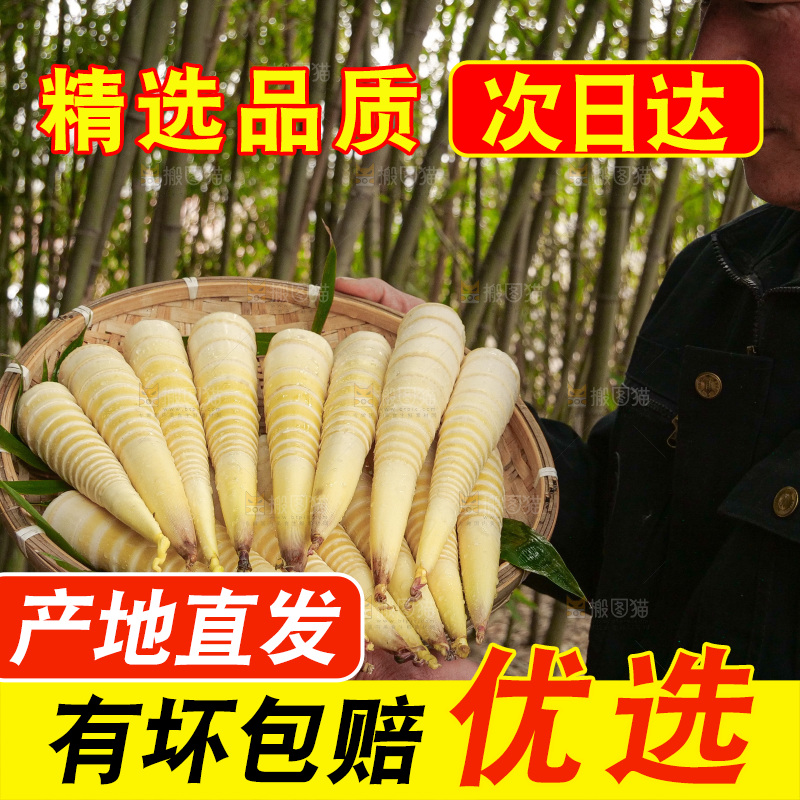 春笋