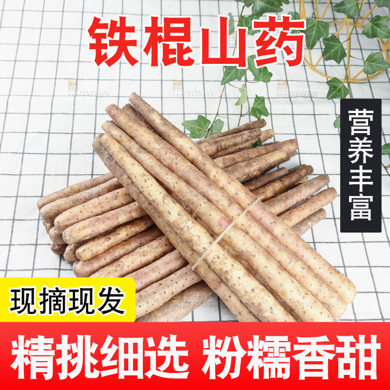 铁棍山药
