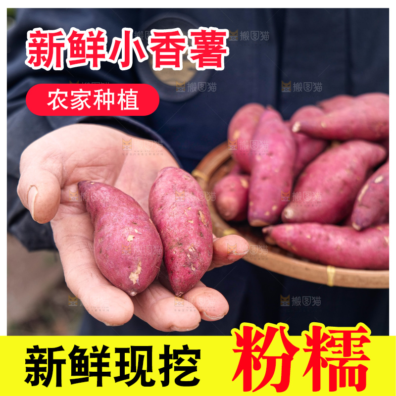 小香薯