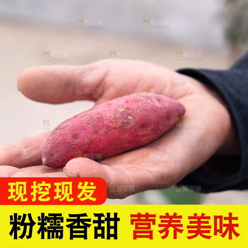 小香薯