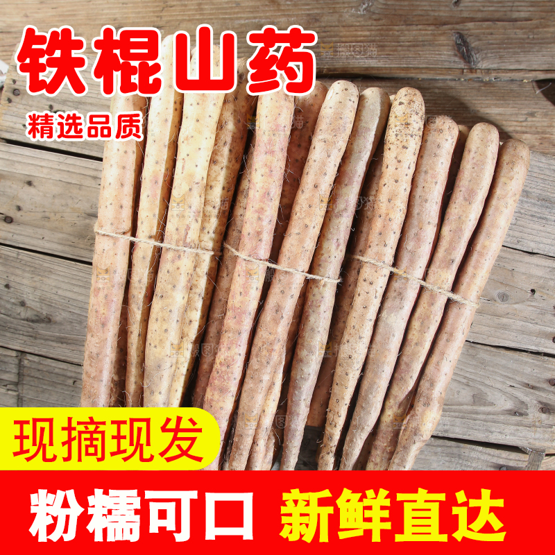 铁棍山药