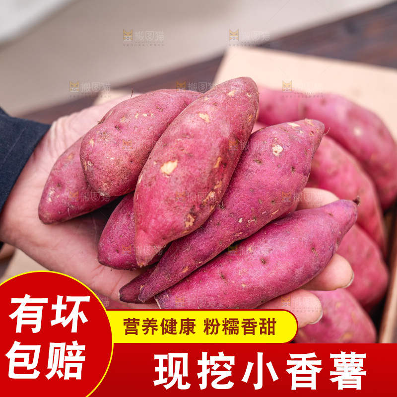 小香薯