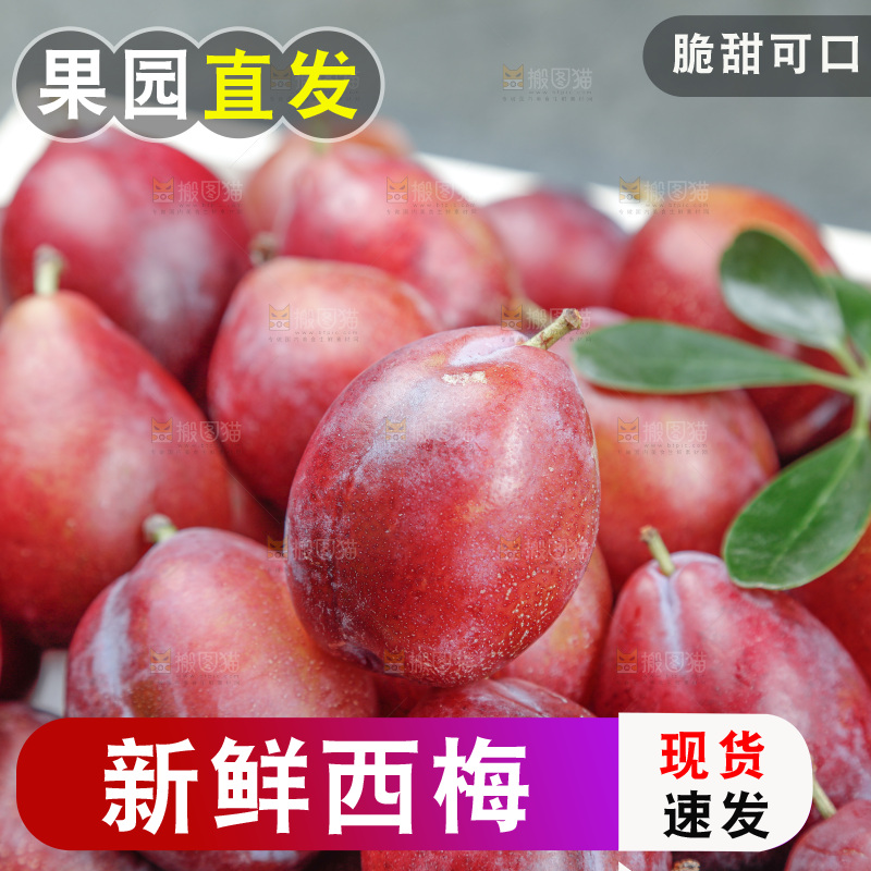 西梅