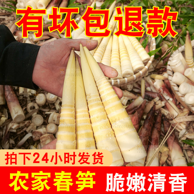 春笋