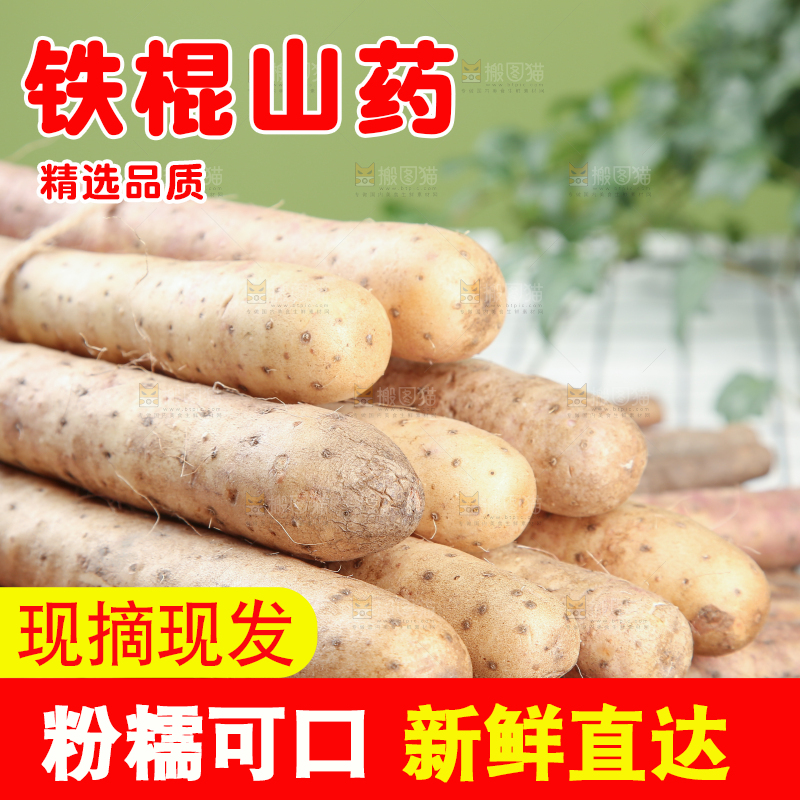 铁棍山药