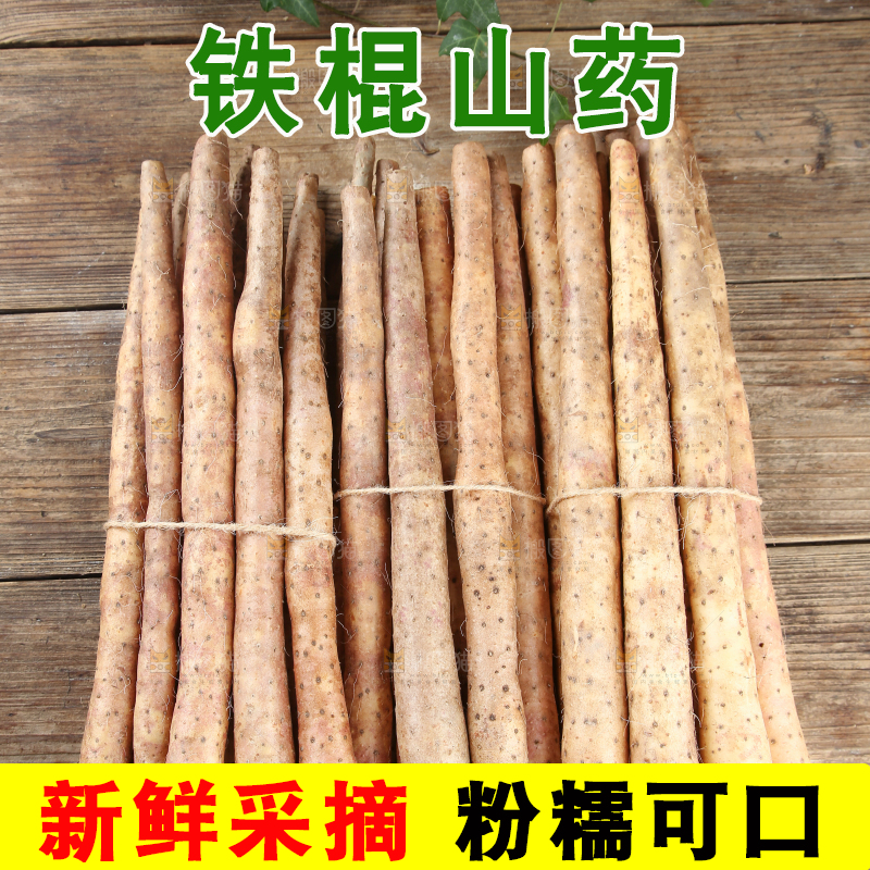 铁棍山药